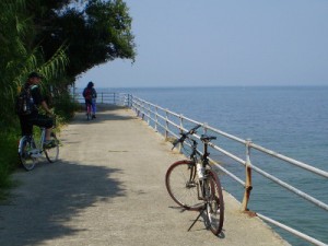 ooshima-cycling
