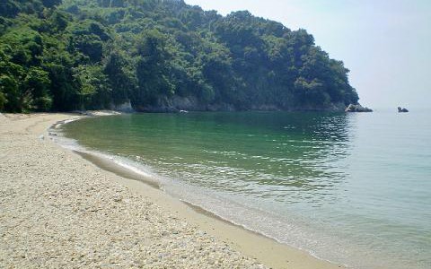 大島サイクリング開催します！