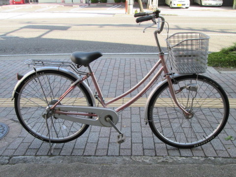 BRIDGESTONE ECOHOME[エコホーム]24吋 ファミリーサイクル